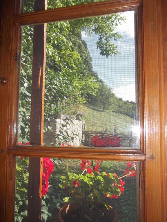 Tulipános Vendégház Obanya Exterior foto
